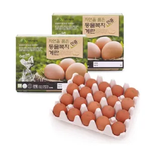 한스팜 자연을 품은 동물복지 인증 계란 20구 x 2개
