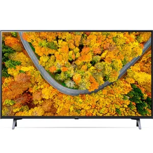 LG전자 4K UHD LED TV, 189cm(75인치), 75UR642S0NC, 벽걸이형, 방문설치